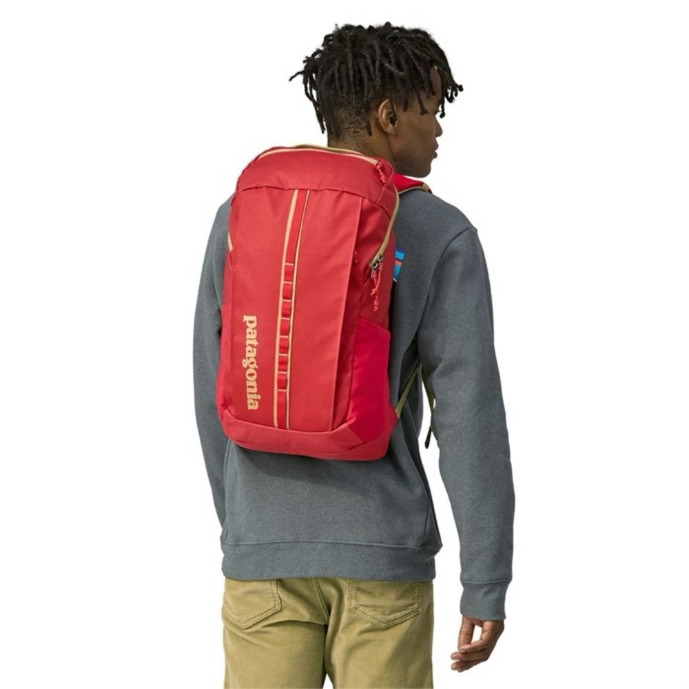 NWT Patagonia Black Hole 25L Pack Backpack Work Computer Bag Travel Outdoor - Picture 8 of 15